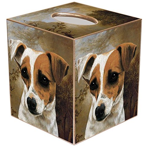 Wood Tissue Box Cover C395931