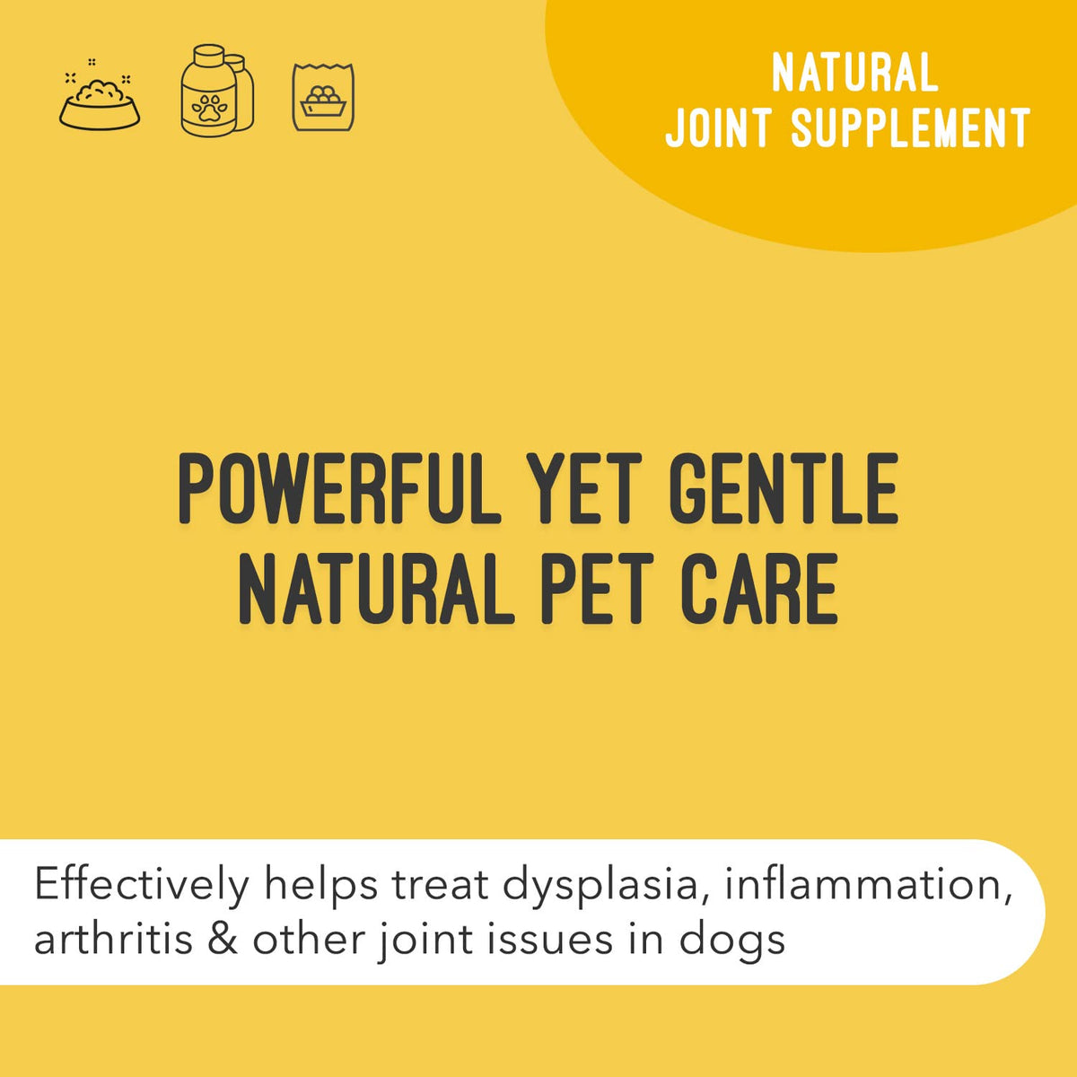 Hip & Joint Support Liquid for Dogs 32 fl oz Z232