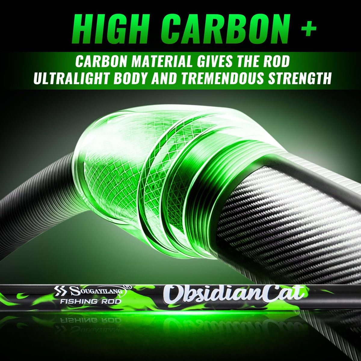Carbon Fishing Rod with Solid Tip D424