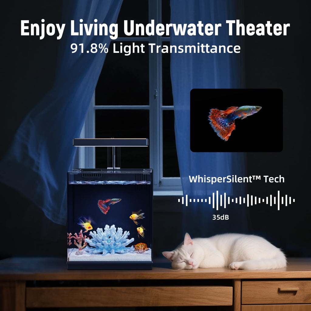 2 Gallon Betta Fish Tank with Filter & Light A595945