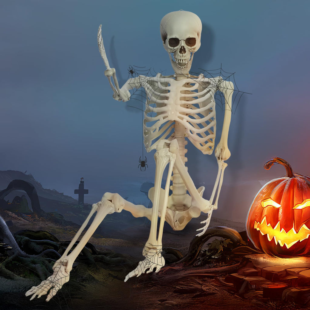 5.4FT Poseable Life Size Plastic Skeleton R4897