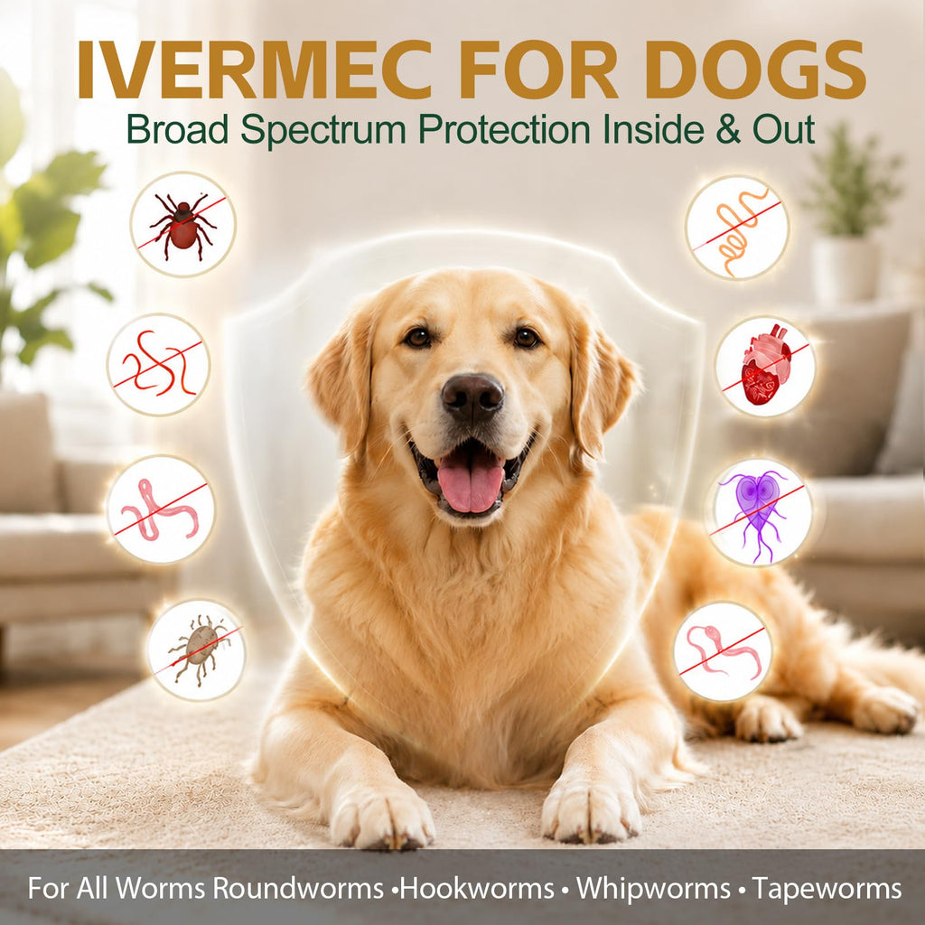 Broad Spectrum Dog Dewormer Q3734