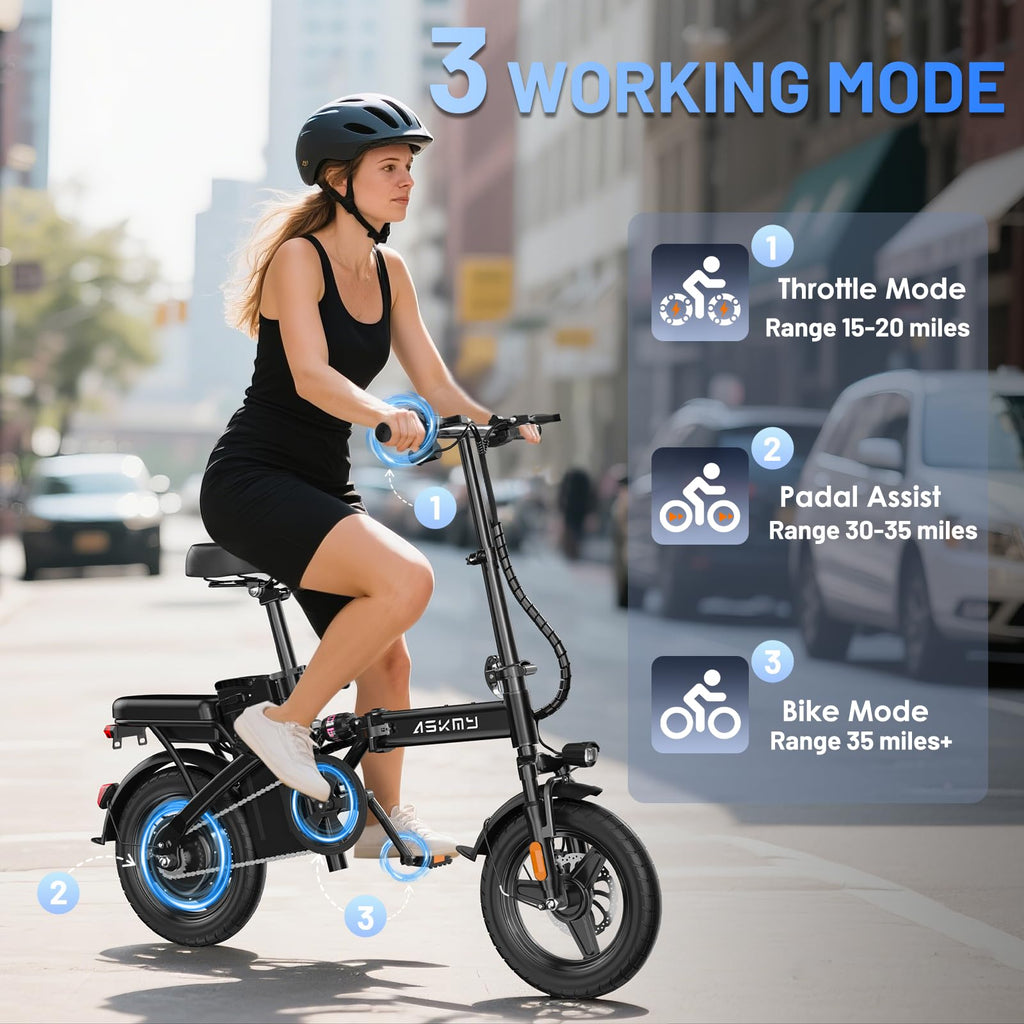 Foldable 14 Inch Electric Bike D805