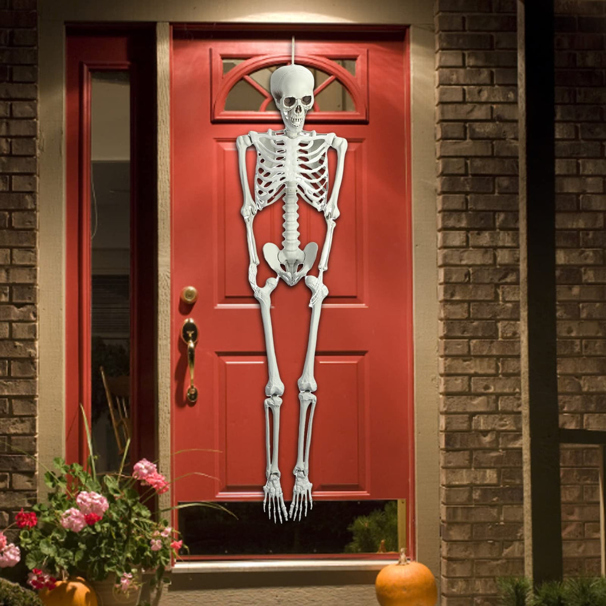 5.4FT Poseable Life Size Plastic Skeleton R4897