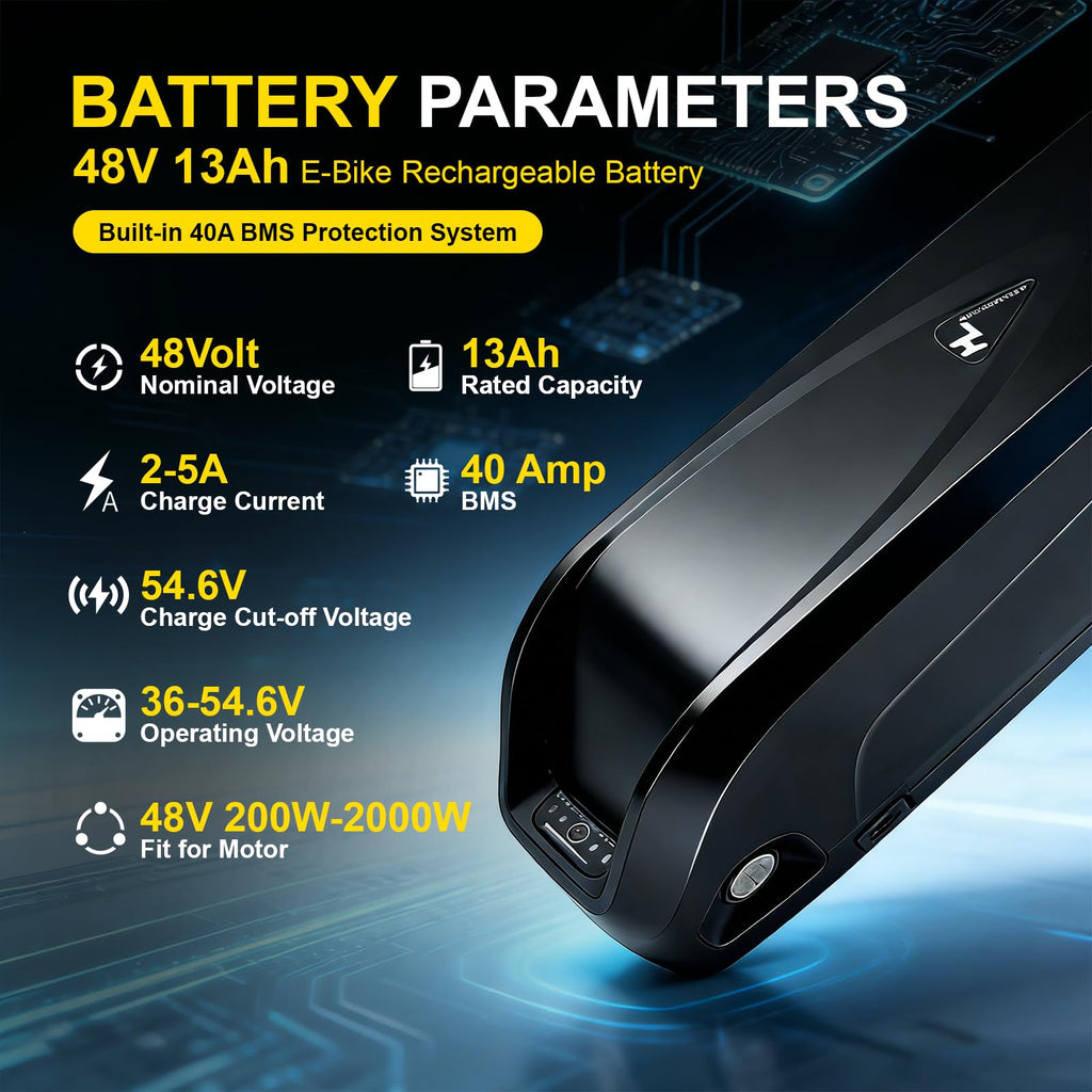 48V 13Ah Lithium Battery with 40A BMS Q673