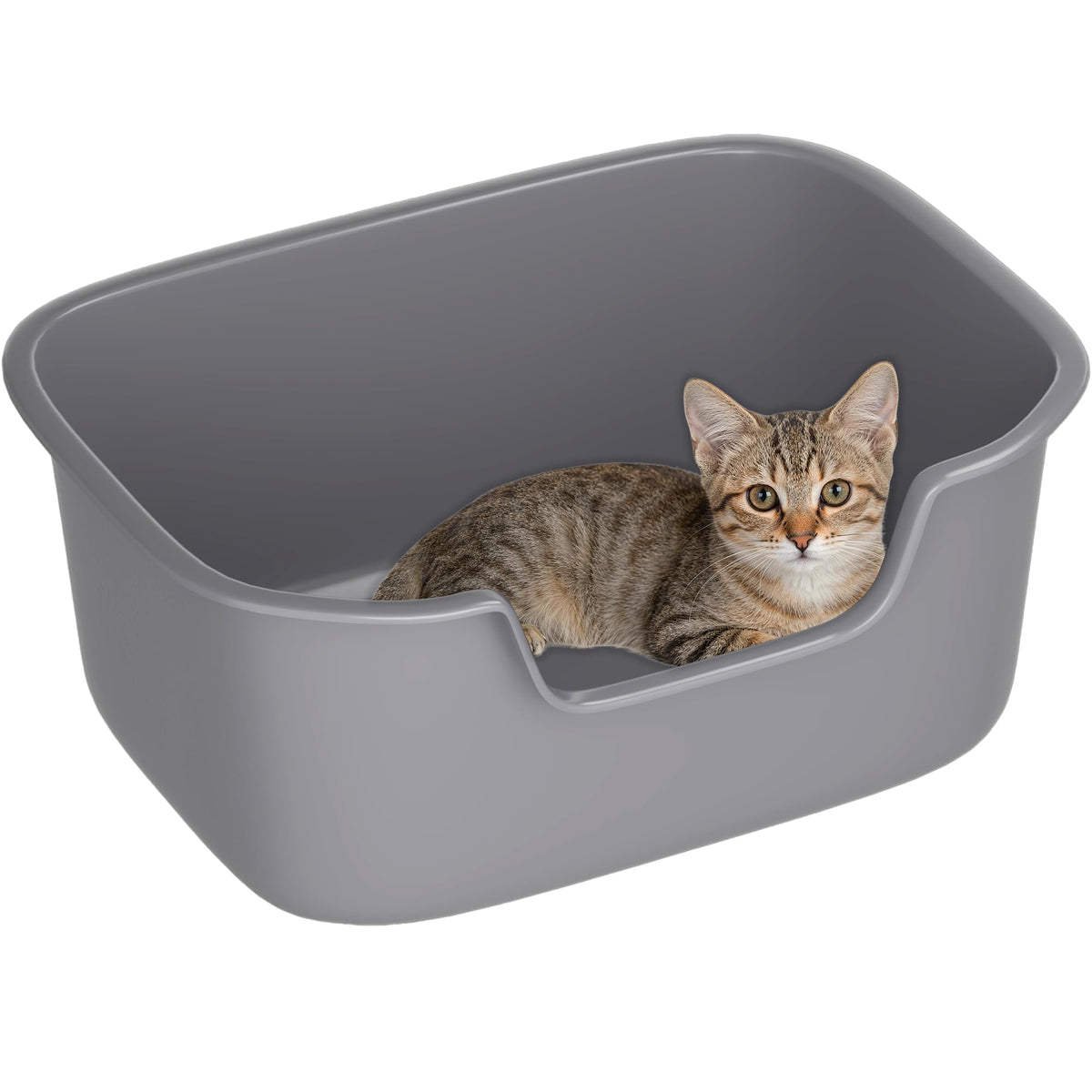 Large High Sides Cat Litter Box N66669