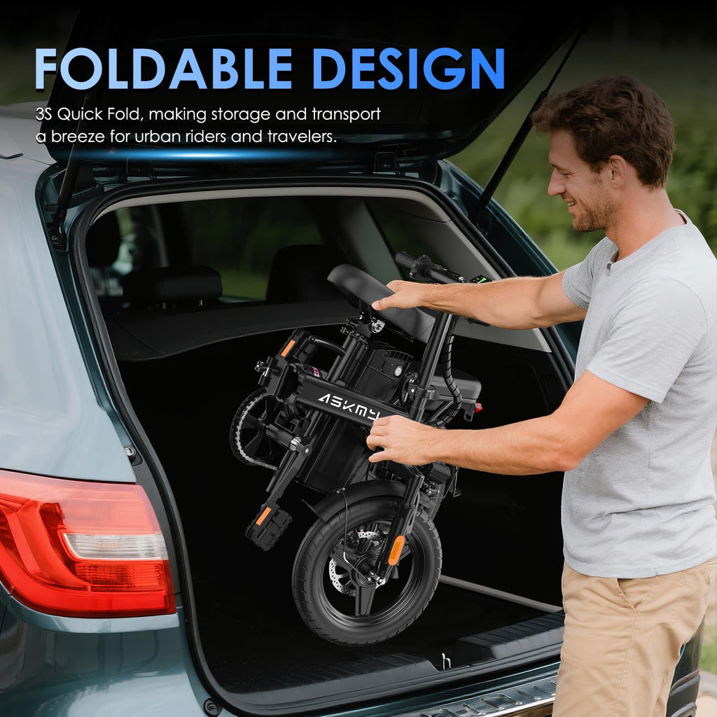 Foldable 14 Inch Electric Bike D805
