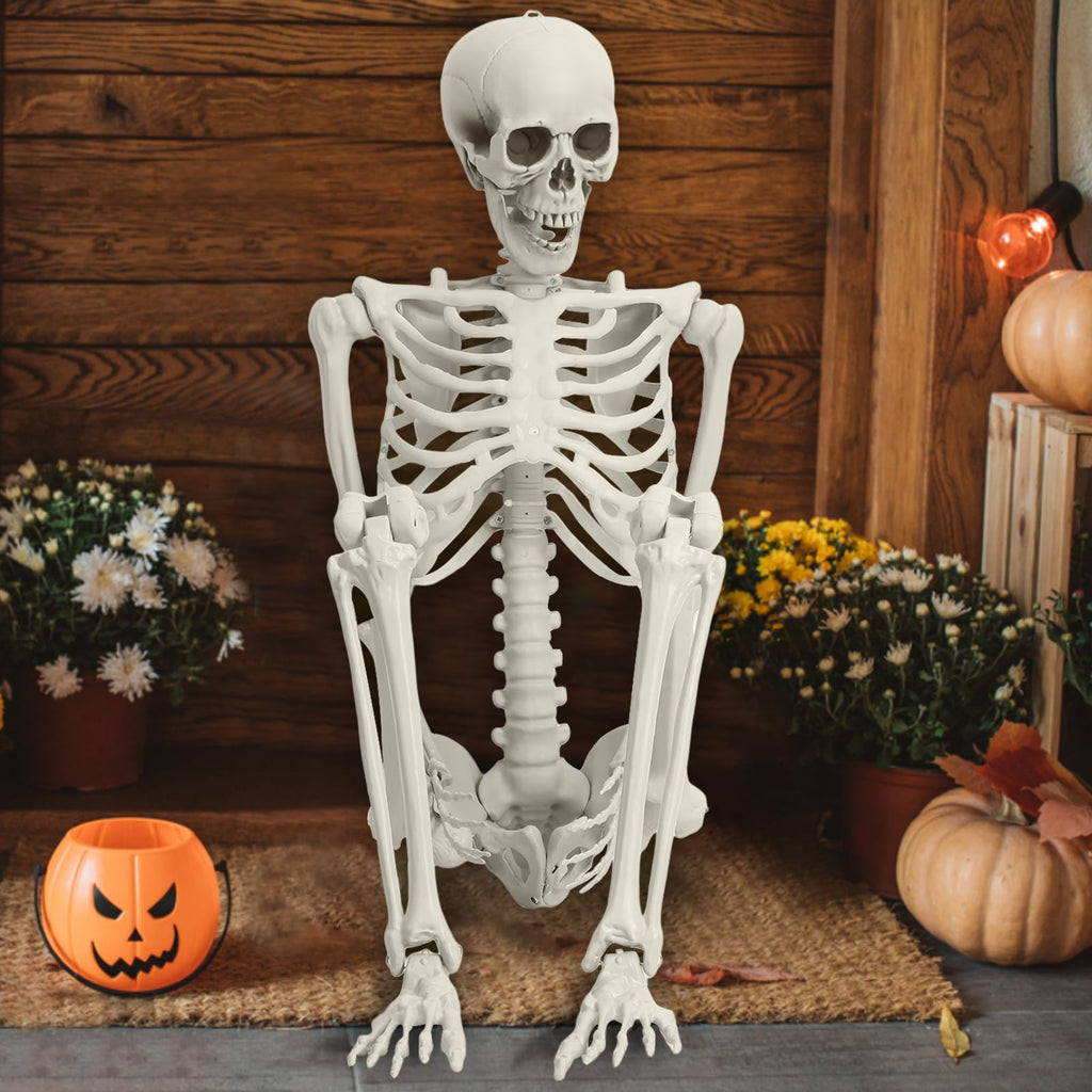 5.4FT Poseable Life Size Plastic Skeleton R4897