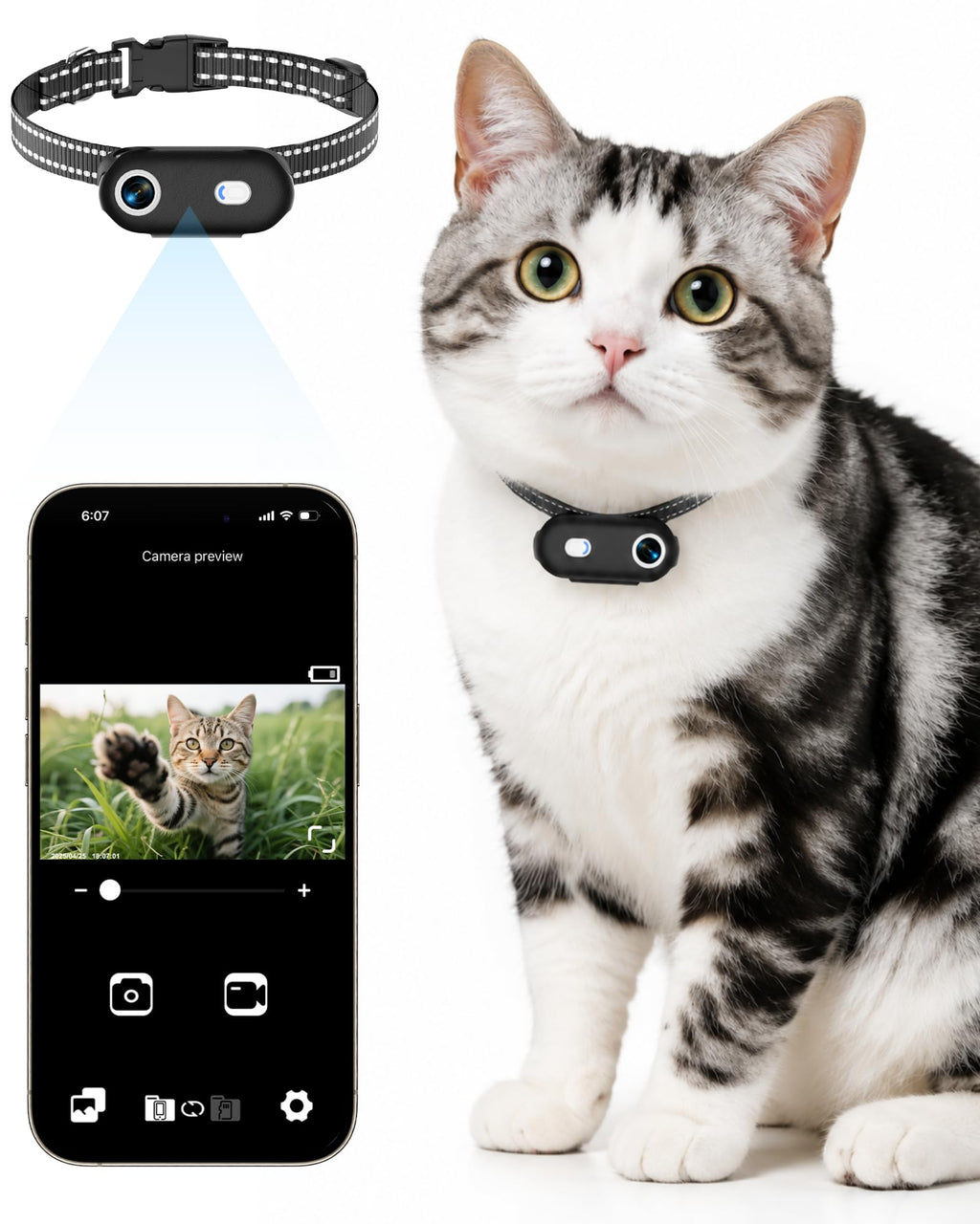 Cat Camera Collar with Phone App I566