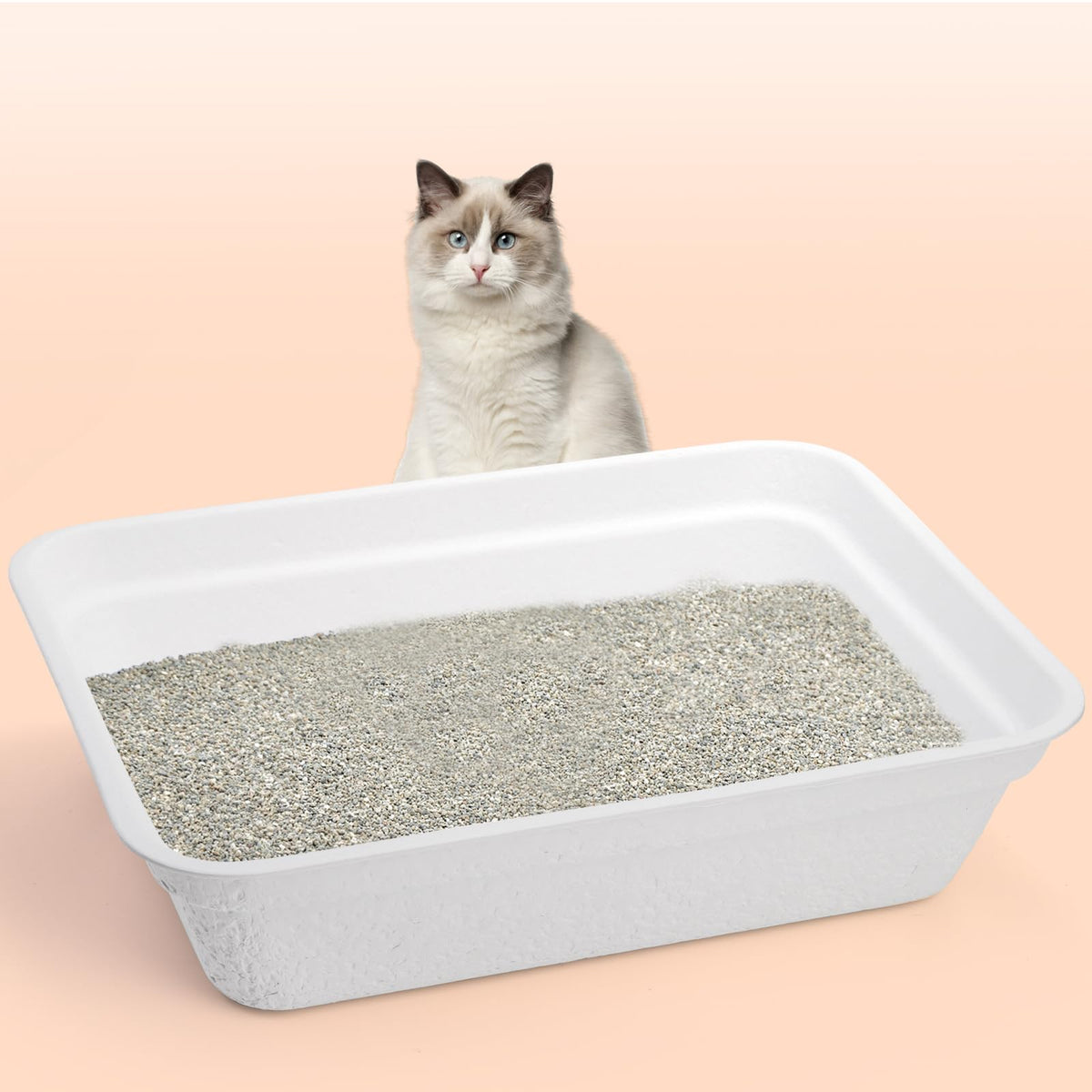 8 Pack White Cardboard Disposable Cat Litter Boxes M36603