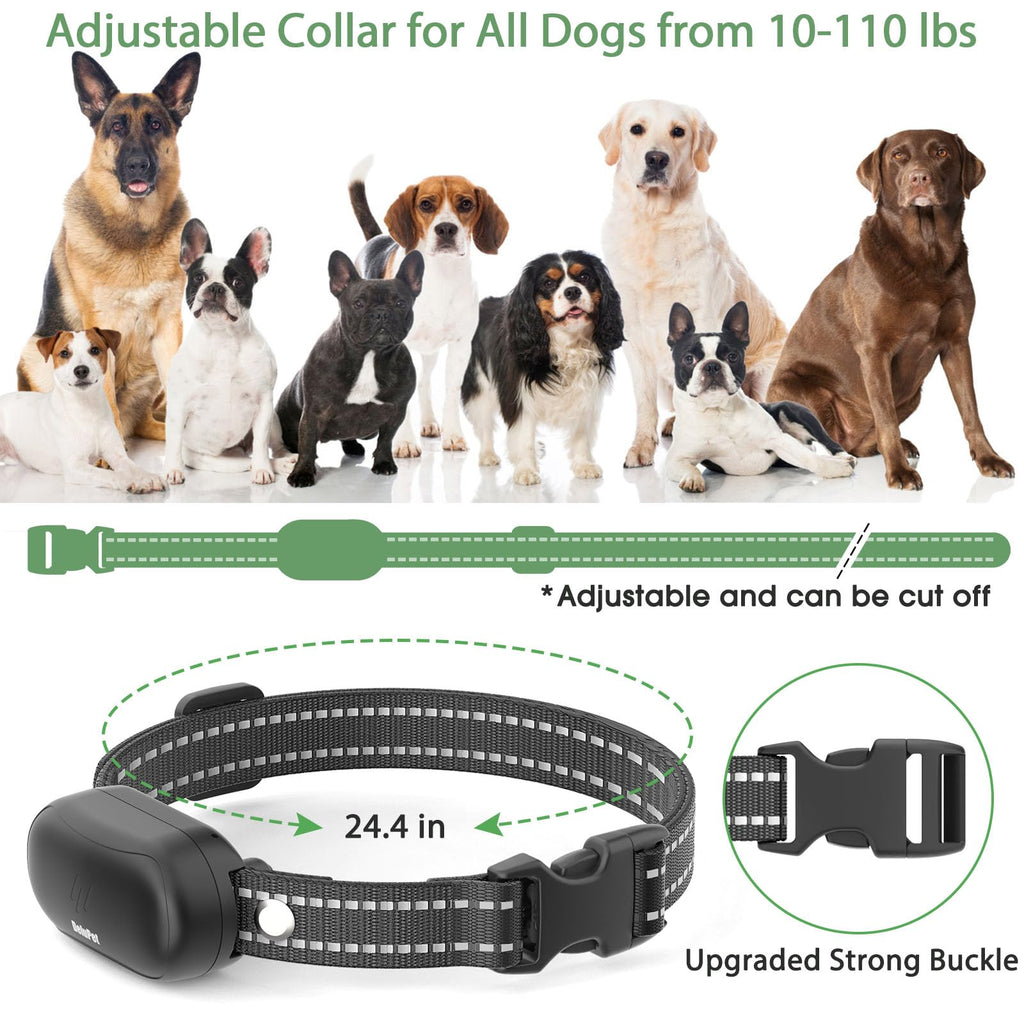 Dog Electric Training Collar with Remote W355044