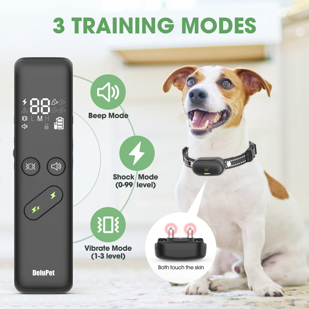 Dog Electric Training Collar with Remote W355044
