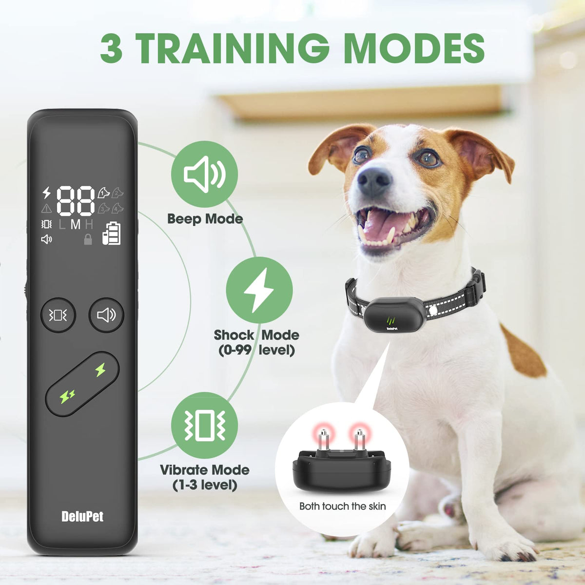 Dog Electric Training Collar with Remote W355044