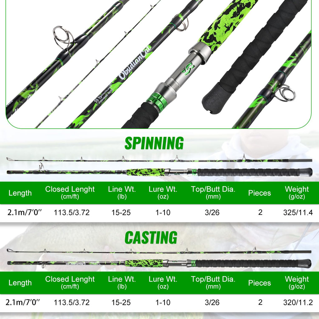 Carbon Fishing Rod with Solid Tip D424