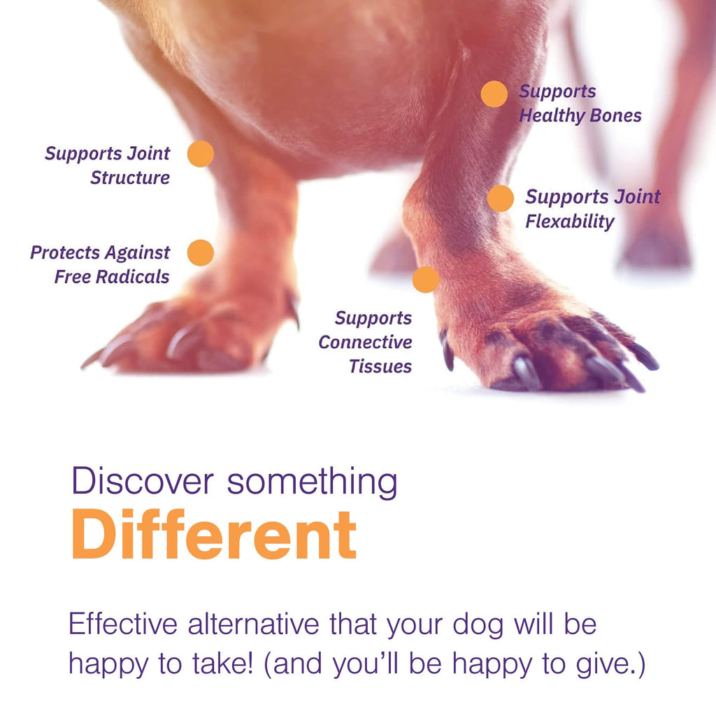 Joint Support Supplement for Dogs - 60 Soft Chews for Small Dogs X379362