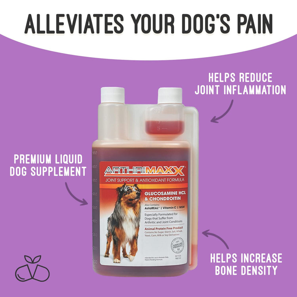 Hip & Joint Support Liquid for Dogs 32 fl oz Z232