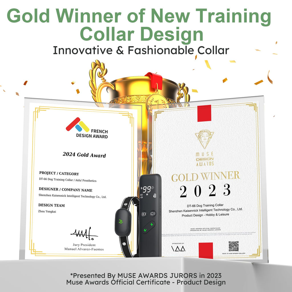 Dog Electric Training Collar with Remote W355044