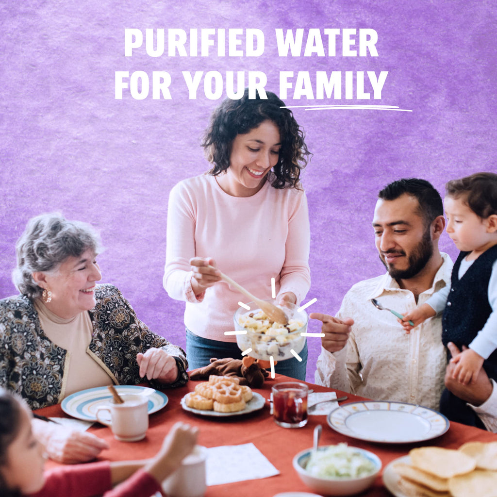 Purified Bottled Water 16.9 oz Case of 24 W33090