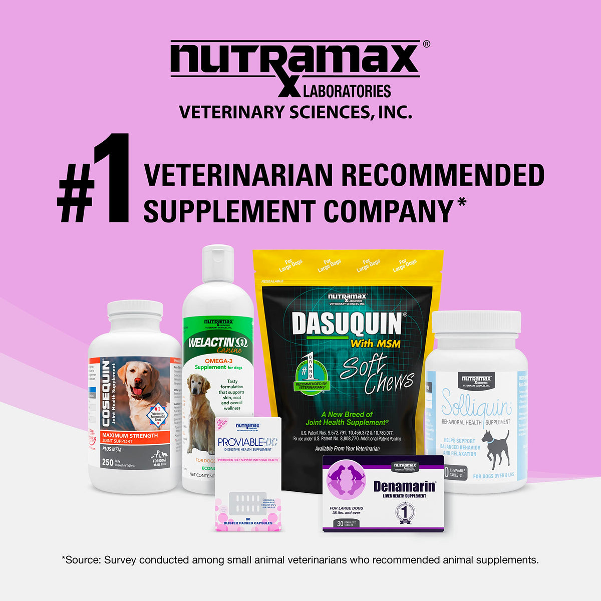 30ct Liver & Brain Support Tablets for Cats & Small Dogs L708