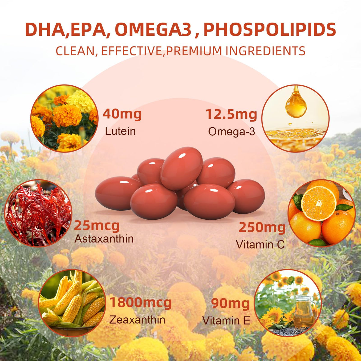 Lutein and Zeaxanthin Softgels with Vitamins C, E, Omega 3 H325