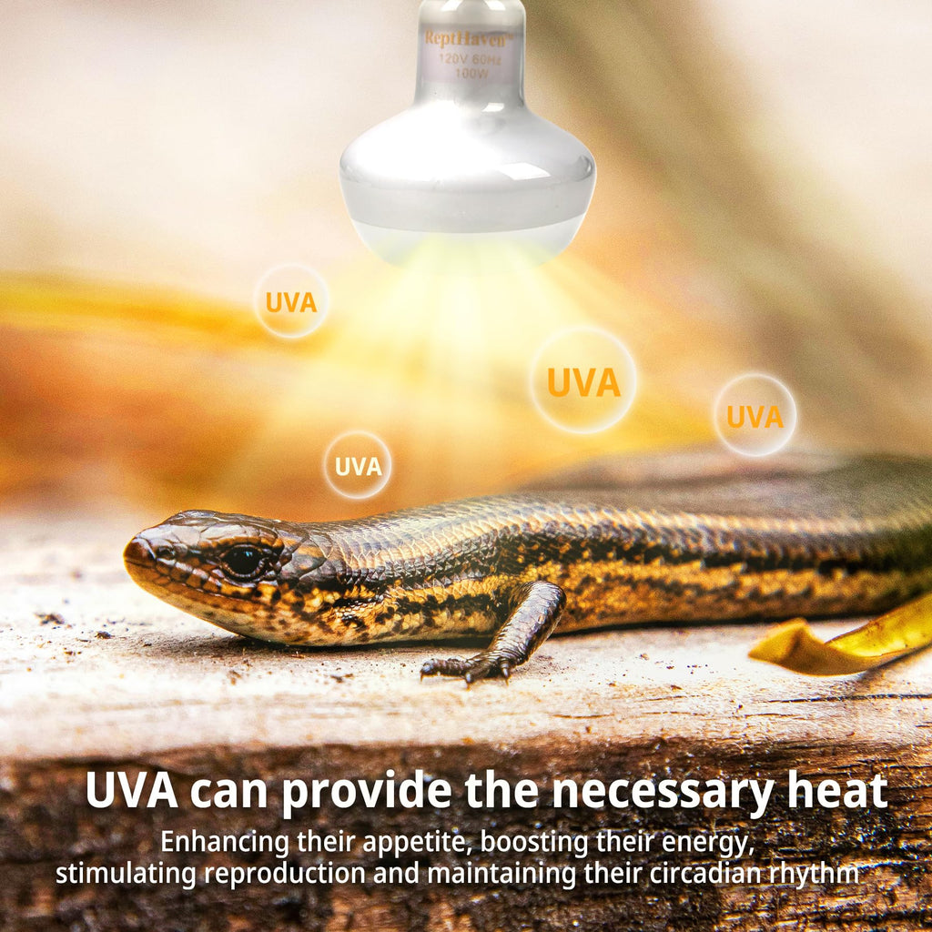 2-in-1 Deep Dome Reptile Light Fixture Kit with 100W UVA Basking Bulb & 100W Infrared Heat Lamp H467543