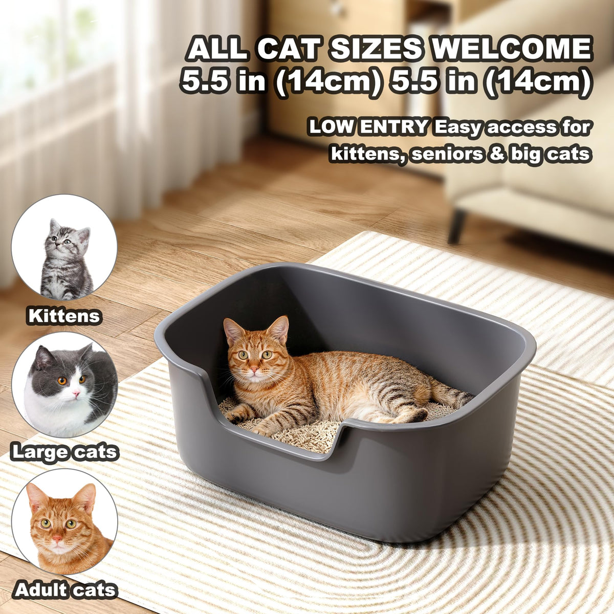 Large High Sides Cat Litter Box N66669