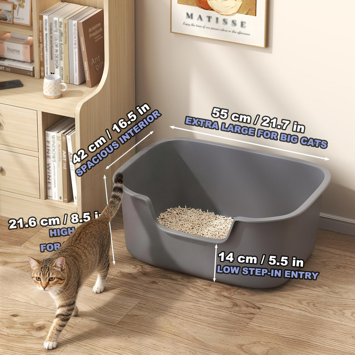 Large High Sides Cat Litter Box N66669