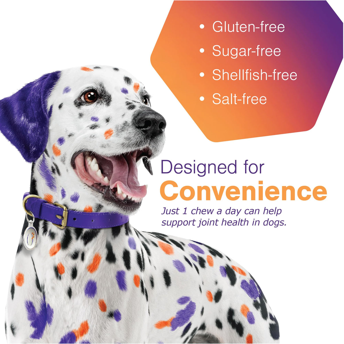 Joint Support Supplement for Dogs - 60 Soft Chews for Small Dogs X379362
