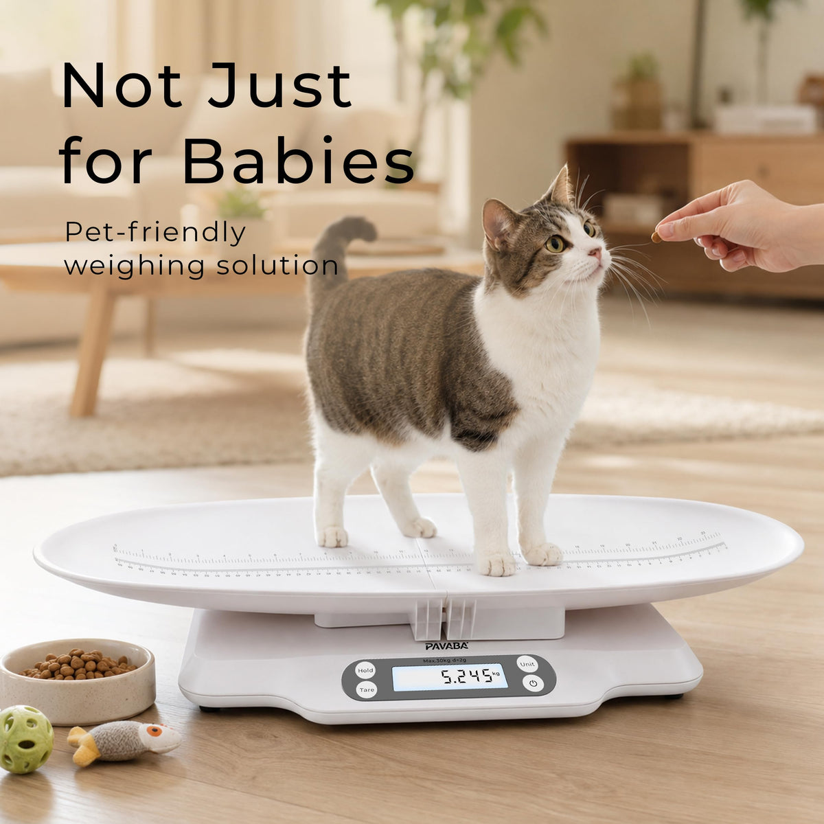 Digital Baby Scale with Removable Tray W415570