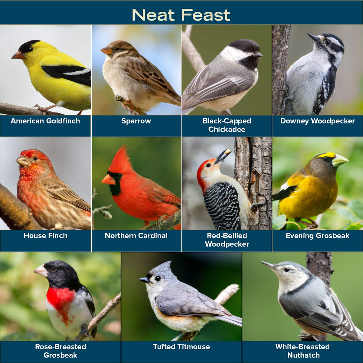 Wild Bird Seed 20 Pound Bag J815490