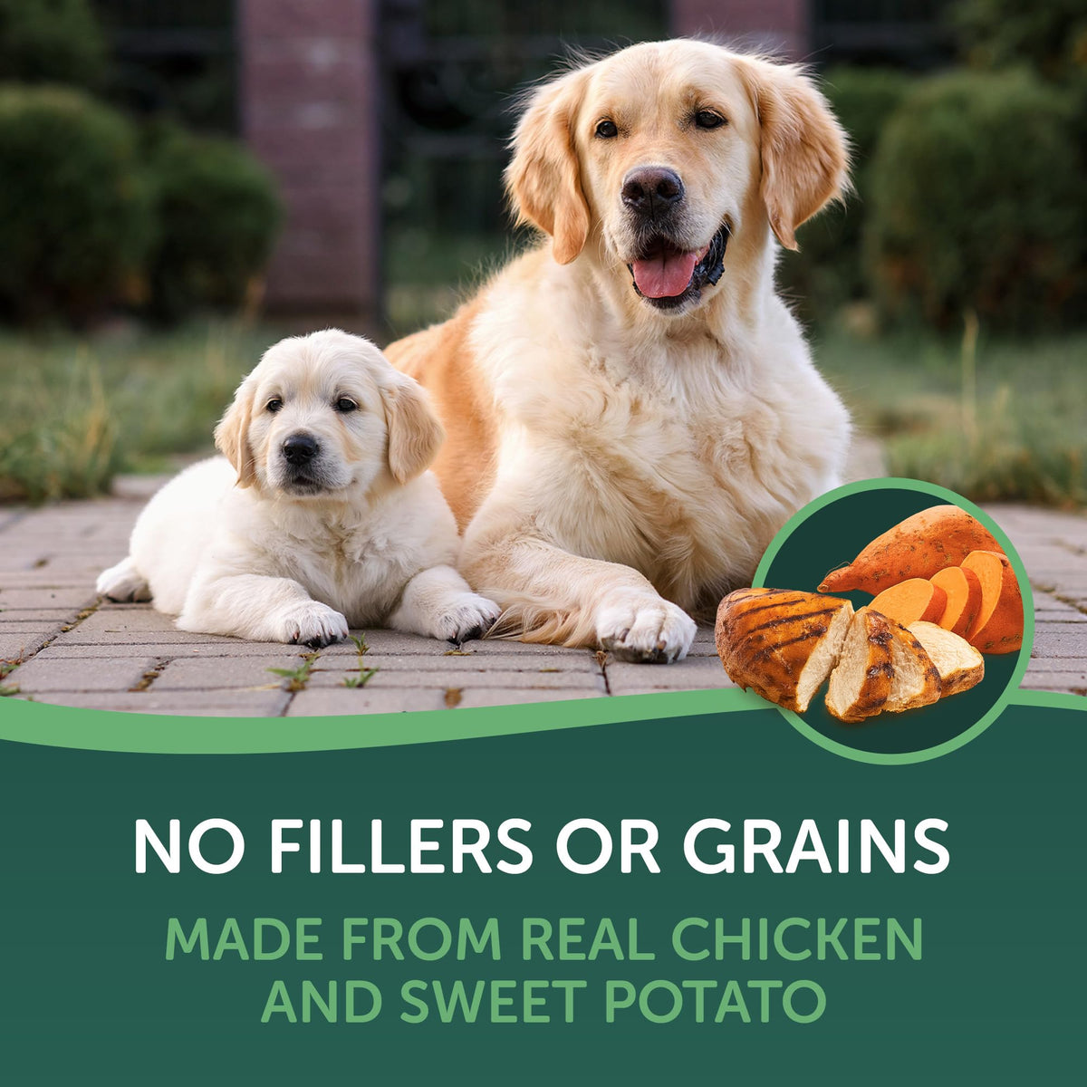 Chicken Wrapped Sweet Potato Dog Treats 16oz T685180