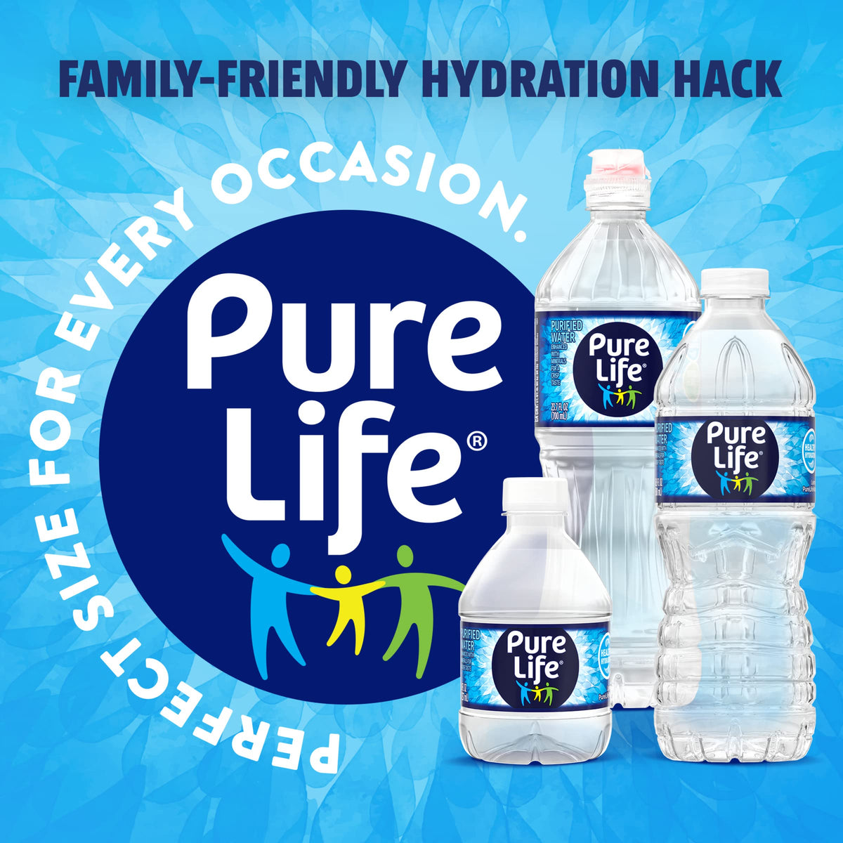 Purified Bottled Water 16.9 oz Case of 24 W33090