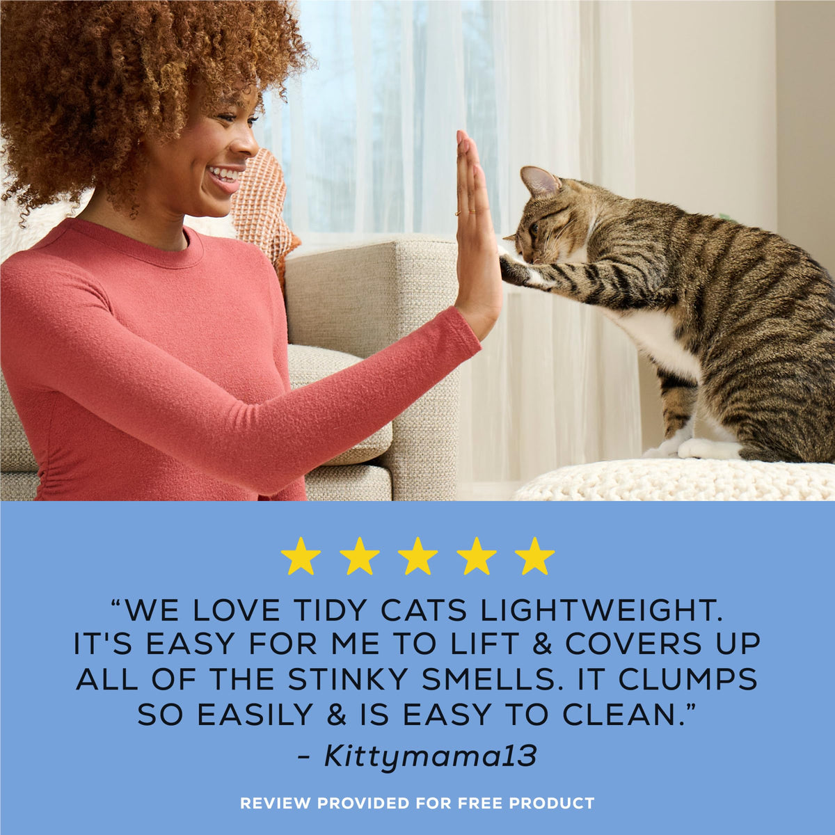 Clumping Cat Litter 6 lb N112196