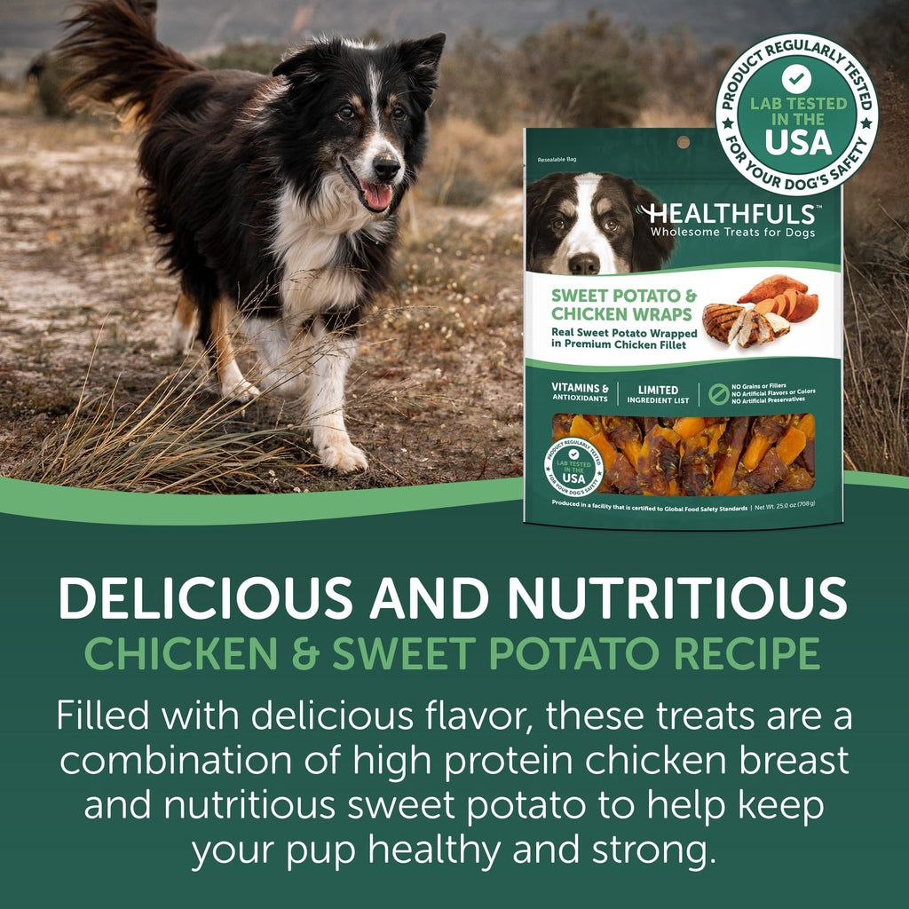 Chicken Wrapped Sweet Potato Dog Treats 16oz T685180