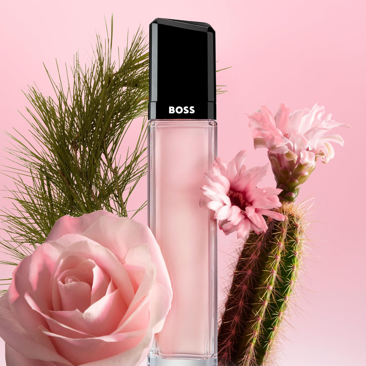 Floral Eau de Parfum with Cactus Blossom and Cedarwood A248