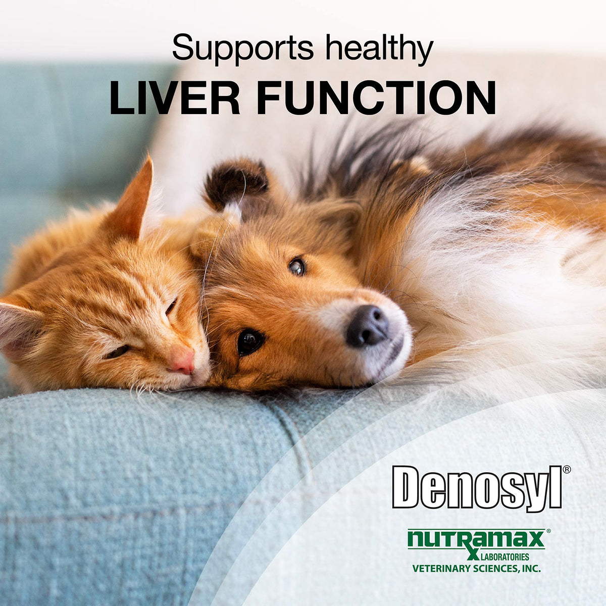 30ct Liver & Brain Support Tablets for Cats & Small Dogs L708