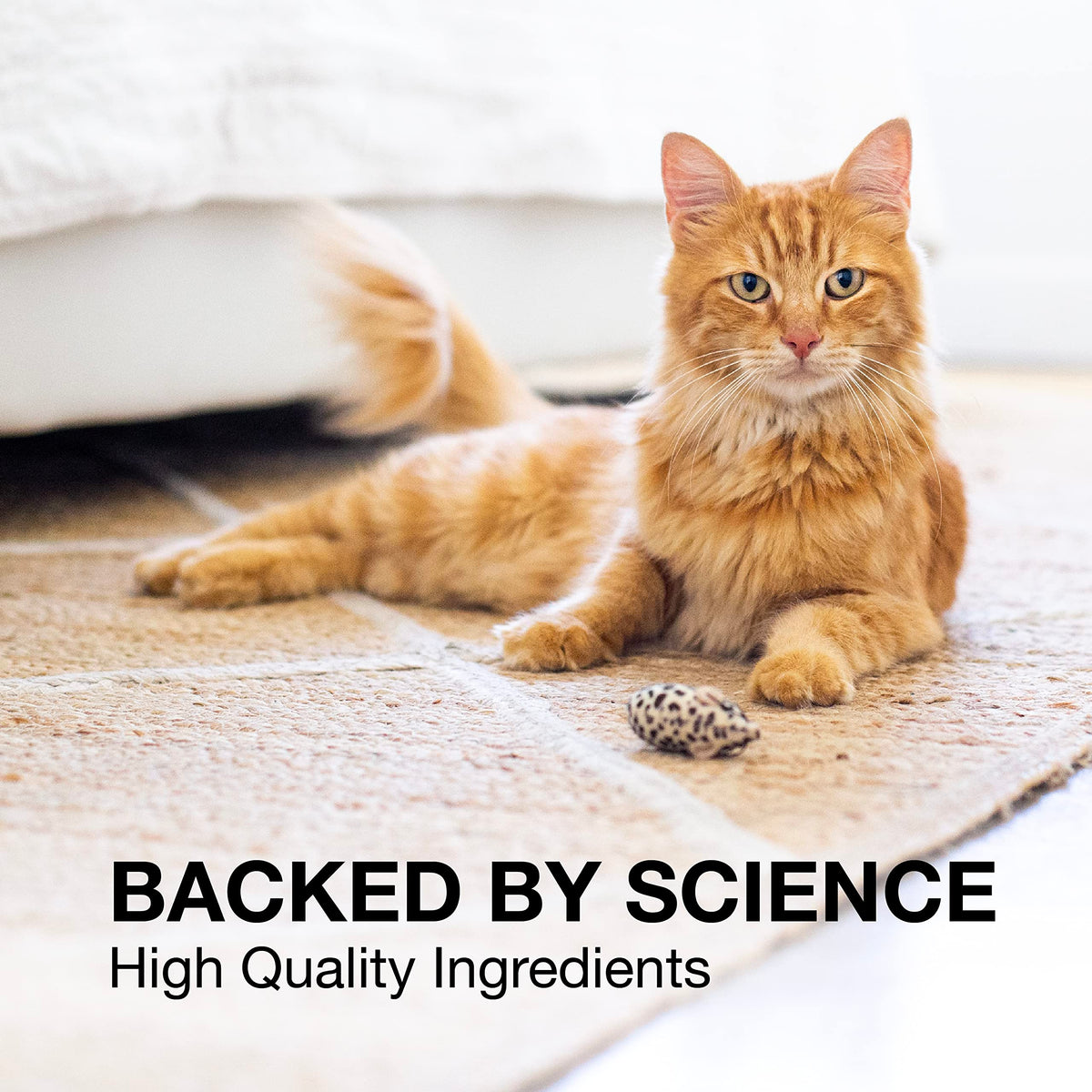 30ct Liver & Brain Support Tablets for Cats & Small Dogs L708